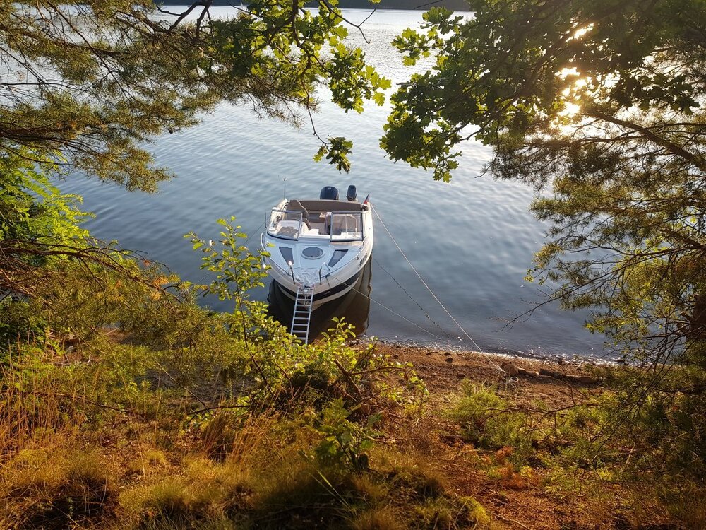 2020-07-31 19-54-01.jpg