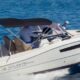 Atlantic marine Sun Cruiser 730