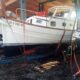 kultovní jachta MENORQUIN 40 Cabin + Solé diesel +vlek a podstavec