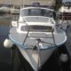 Albin 25