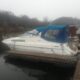 Sealine 270 ambassador