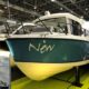 QUICKSILVER 905 PILOTHOUSE + MERCURY F 250 V8 EFI EXXLPT DTS
