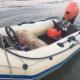člun zodiac zoom 310