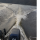 SELVA Madeira 50 HP