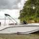 QUICKSILVER Activ 525 aXESS + M F 115 EFI ELPT