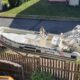 SOLEMAR RIB B51 + E-TEC 90HP, hydral. řízení+vlek _ PRODÁNO