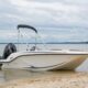 QUICKSILVER Activ 475 aXESS + MERCURY F 60 EFI ELPT