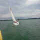 Plachetnice Sporta 595,