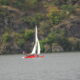 Prodám katamarán Hobie Cat 16 s přívěsem