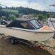 Valory 490 Premium r.v.2022 + Mercury F 50 ELPT EFI + Temared Boat 1000-POUŽITÁ